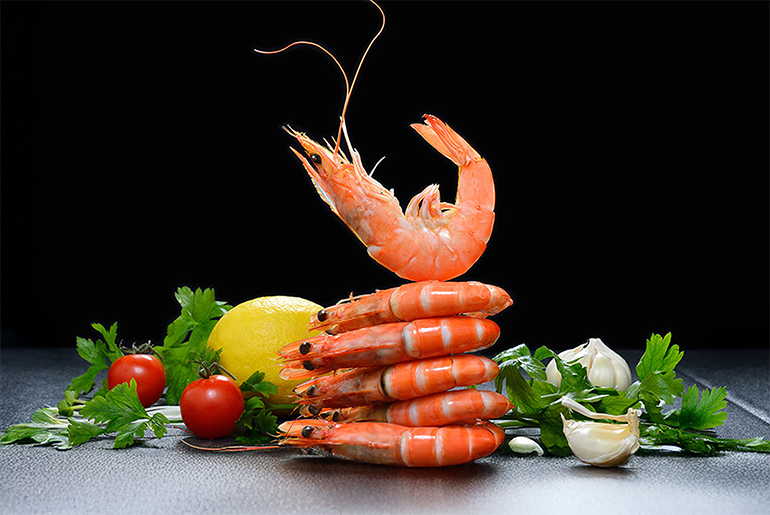 F&B_SectionD_01.png