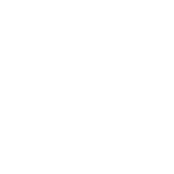 icon (3).png