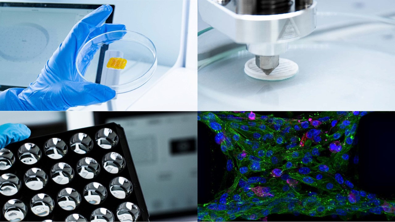 DKSH and CELLINK Announce Strategic Partnership to Advance 3D Bioprinting Solutions in China